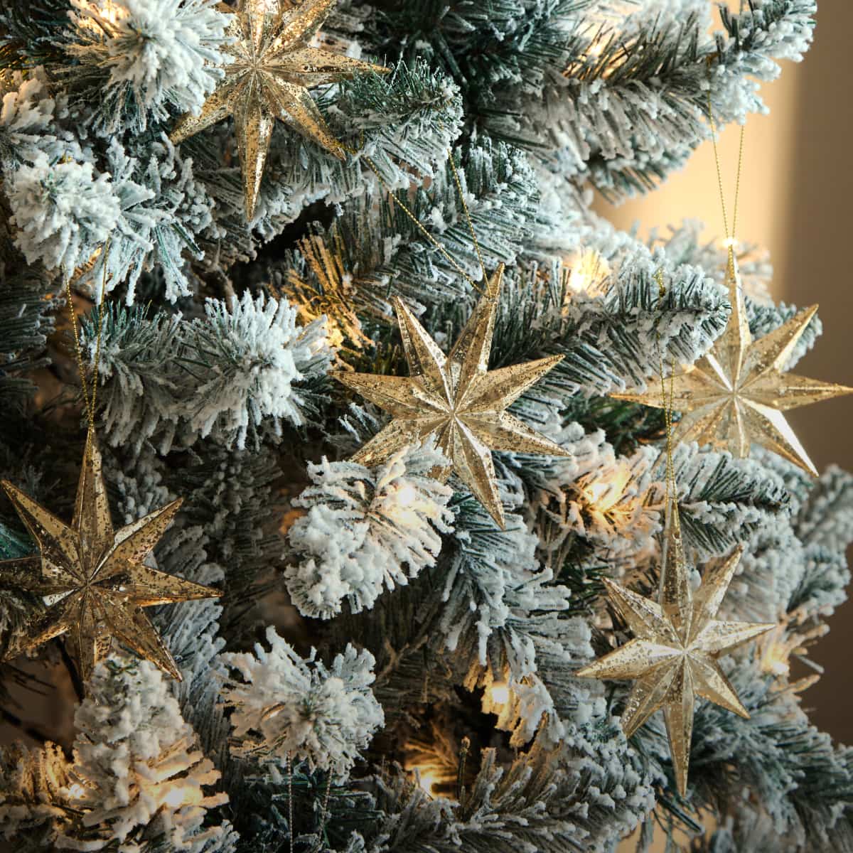 Frosted Chic